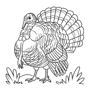 Målarbild Detaljerad Kalkon