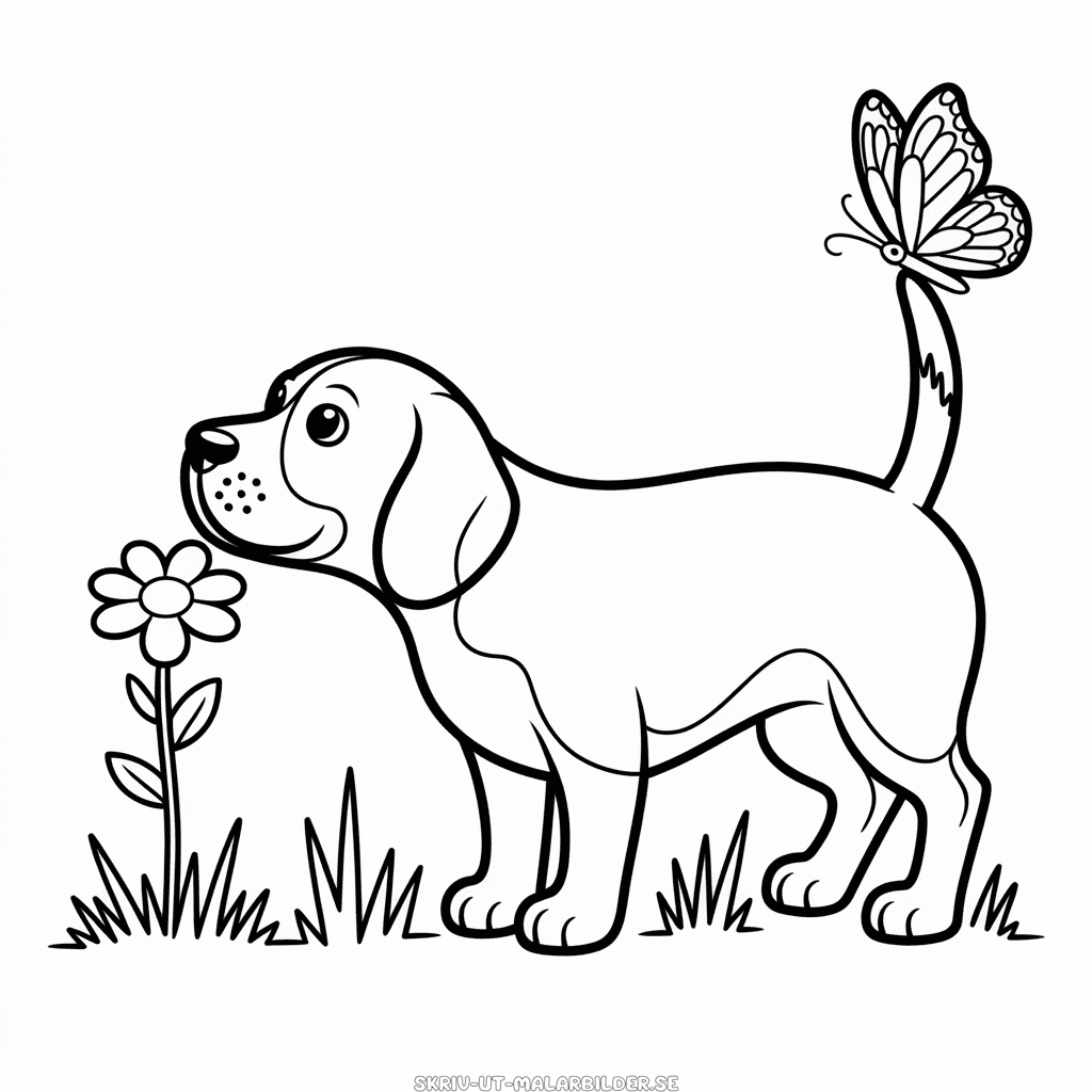 Målarbild Beagle Hund