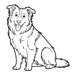 Målarbild Border Collie Hund