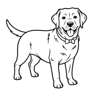 Målarbild Svart Labrador Hund