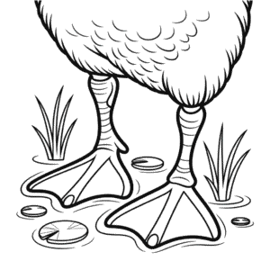 Målarbild Ankfötter