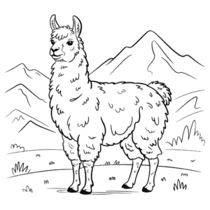 Målarbild Realistisk Lama