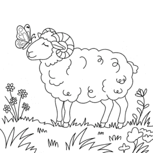 Målarbild Vuxet Får