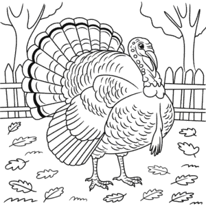 Målarbild Bild av Kalkon