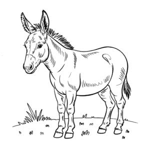 Målarbild Realistisk Åsna
